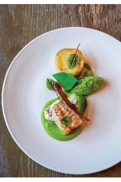 AVOCANTO HASS - MANGO