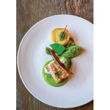 AVOCANTO HASS - MANGO