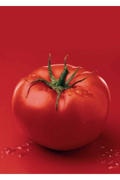 TOMATO POLPA