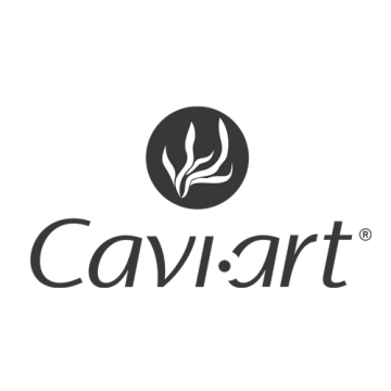 CAVI ART