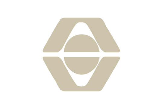 Company profile